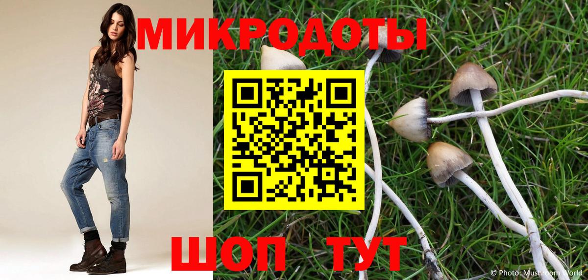 Псилоцибиновые грибы Cubensis  Галлюциногенные грибы MAGIC MUSHROOMS  как найти закладки  Вход с VPN  Балашиха 